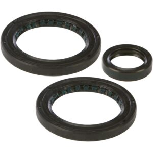 Differential Seal Kit